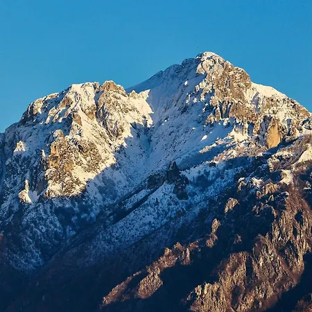 Treeb Белладжо